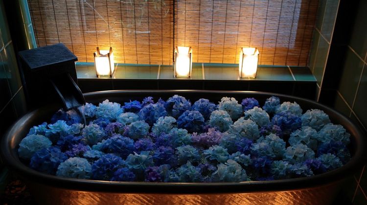 THE JUNEI HOTEL Kyoto Imperial Palace Room