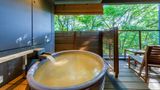 Hakone Lake Ashi Hanaori Spa