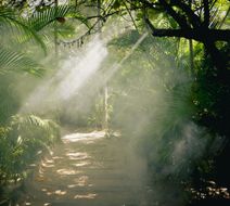Nomade Tulum Lobby