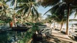 Nomade Tulum Pool