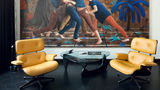 The Qvest Suite