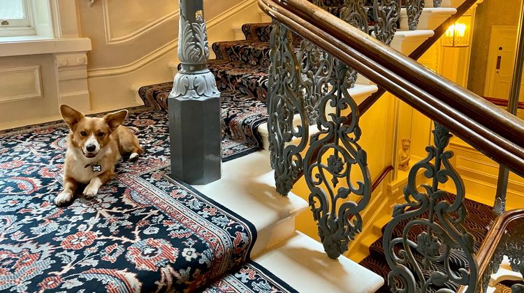 The Grand Brighton Lobby