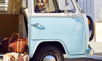 Calistoga Motor Lodge and Spa