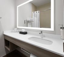 Holiday Inn Express & Suites Wyomissing Room
