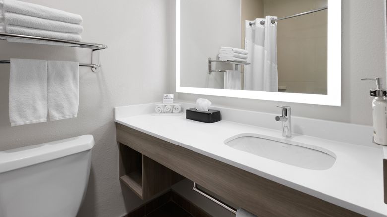 <b>Holiday Inn Express & Suites Wyomissing Room</b>. Images powered by <a href="https://www.leonardoworldwide.com/" title="Leonardo Worldwide" target="_blank">Leonardo</a>.