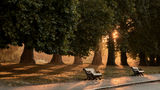 Six Senses London Other