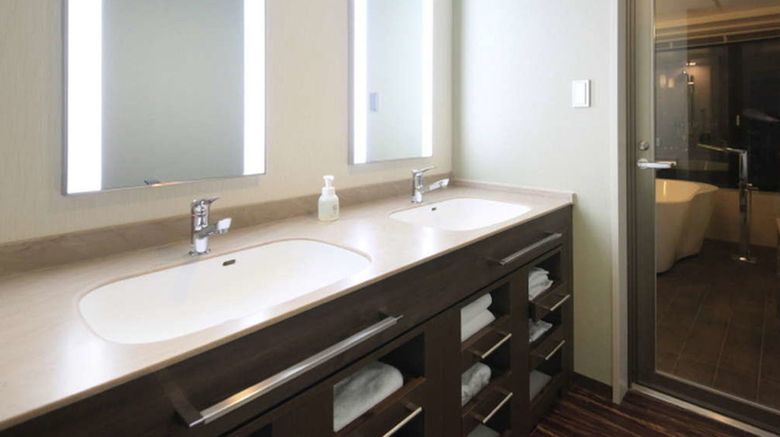 <b>Richmond Hotel Premier Tokyo Oshiage Other</b>. Images powered by <a href="https://www.leonardoworldwide.com/" title="Leonardo Worldwide" target="_blank">Leonardo</a>.