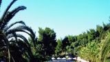 Sani Beach Club Pool