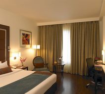 Royal Orchid Central Pune Room
