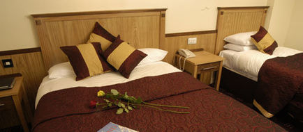 The Bush Hotel Room