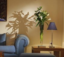 Tamarix Del Mar Suites Lobby
