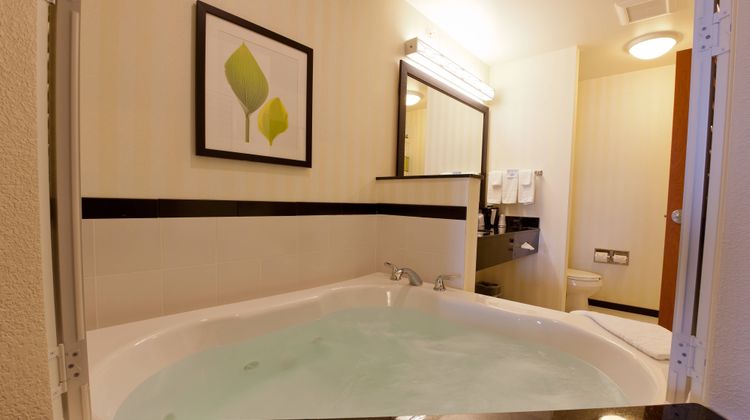 Fairfield Inn & Suites Flint Fenton Room
