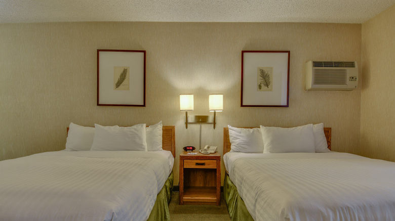 <b>Vagabond Inn Los Angeles at USC Room</b>. Images powered by <a href="https://www.leonardoworldwide.com/" title="Leonardo Worldwide" target="_blank">Leonardo</a>.