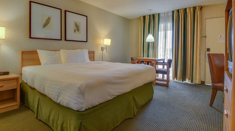 <b>Vagabond Inn Los Angeles at USC Room</b>. Images powered by <a href="https://www.leonardoworldwide.com/" title="Leonardo Worldwide" target="_blank">Leonardo</a>.