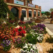 Green Class Candiolo Hotel