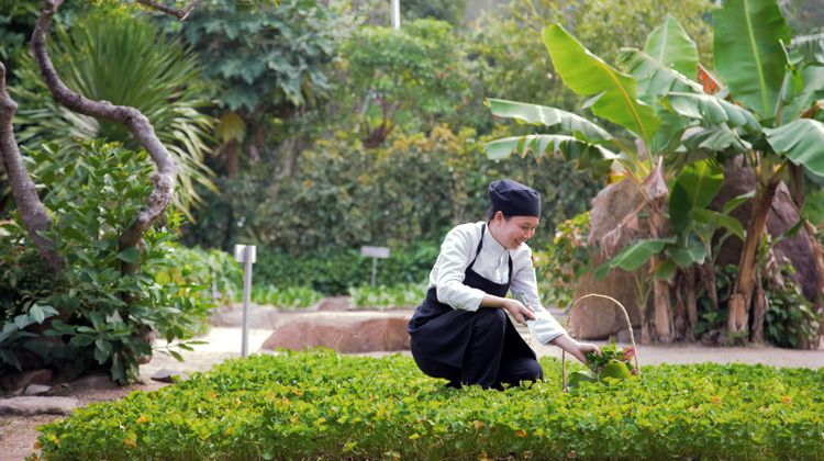 Six Senses Ninh Van Bay Restaurant