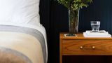 <b>Anvil Hotel Room</b>. Images powered by <a href="https://www.leonardoworldwide.com/" title="Leonardo Worldwide" target="_blank">Leonardo</a>.