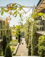 Courtyard Montpellier Marriott