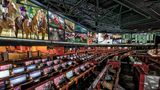 Westgate Las Vegas Resort & Casino Recreation