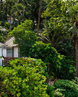 The Surin Phuket