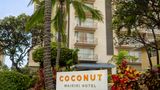 Coconut Waikiki Hotel Room