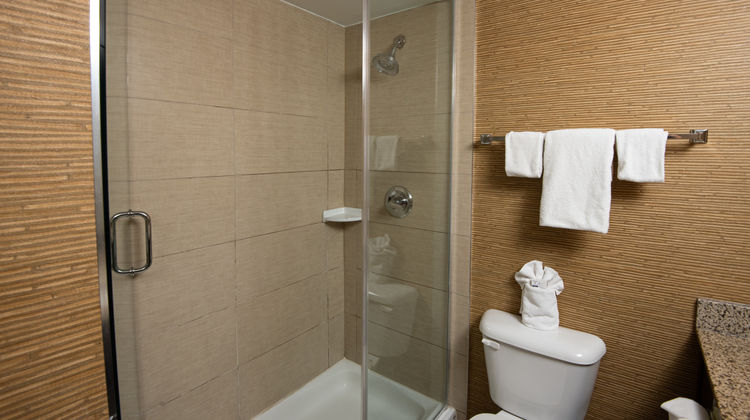 Holiday Inn Express/Suites Chatham South Room