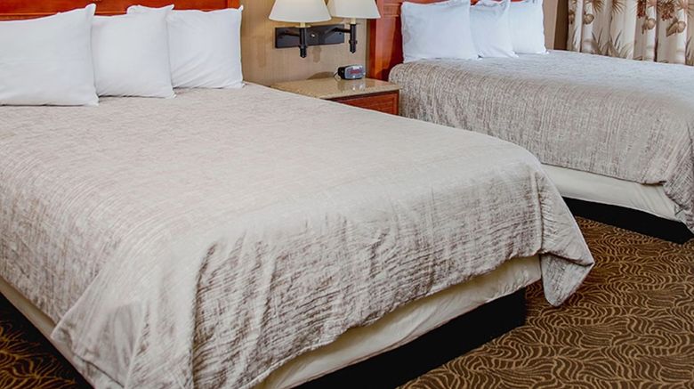 <b>Treasure Island Resort & Casino Room</b>. Images powered by <a href="https://www.leonardoworldwide.com/" title="Leonardo Worldwide" target="_blank">Leonardo</a>.