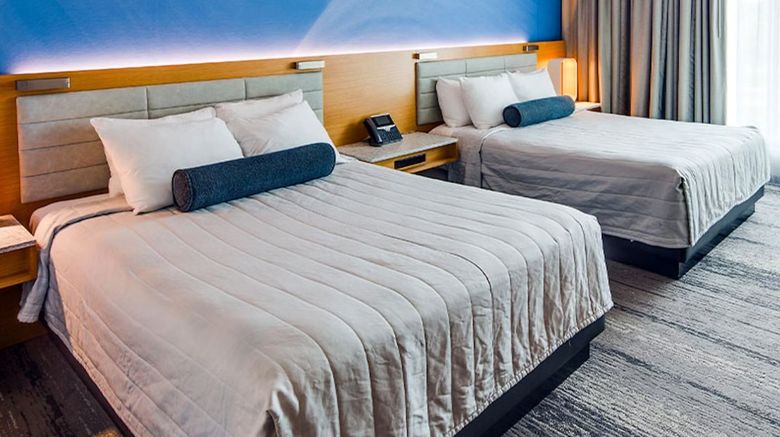 <b>Treasure Island Resort & Casino Room</b>. Images powered by <a href="https://www.leonardoworldwide.com/" title="Leonardo Worldwide" target="_blank">Leonardo</a>.