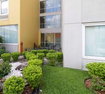 City Express by Marriott Saltillo Sur Exterior