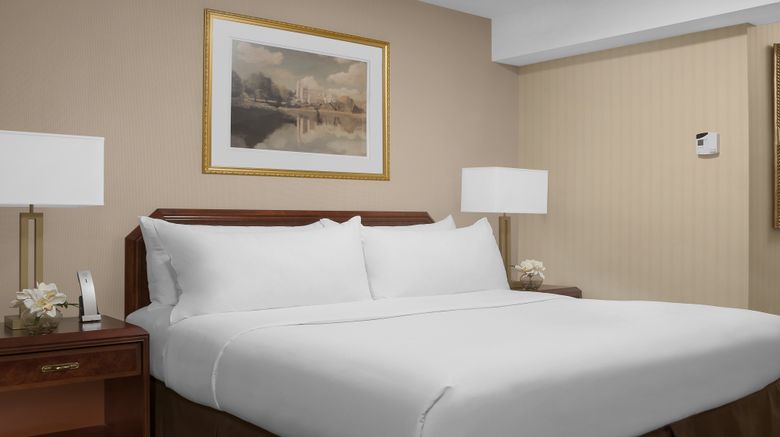 <b>The Manhattan at Times Square Hotel Room</b>. Images powered by <a href="https://www.leonardoworldwide.com/" title="Leonardo Worldwide" target="_blank">Leonardo</a>.
