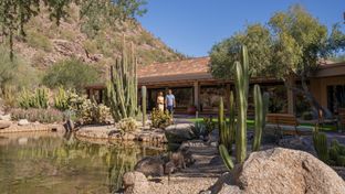 The Canyon Suites at The Phoenician