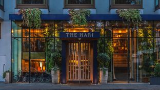 The Hari