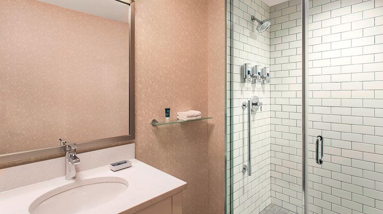 Four Points by Sheraton NYC Downtown Room