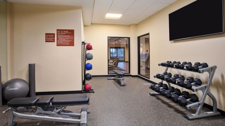 TownePlace Suites Detroit Belleville Recreation