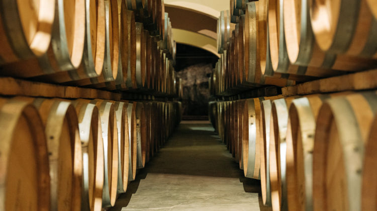 Chateau l'Hospitalet Other