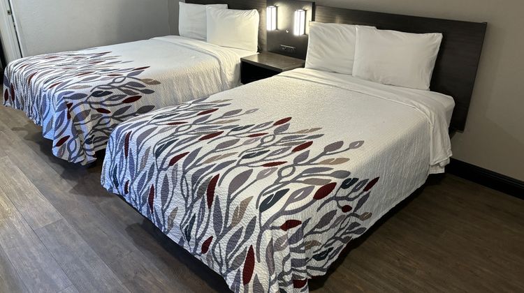 Red Roof Inn Wildwood - The Villages Room