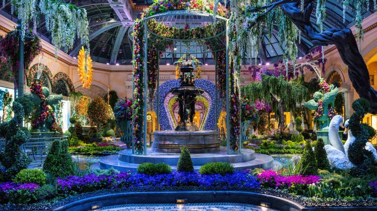 Bellagio Las Vegas Other