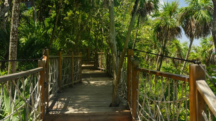 Kimpton Grand Roatan Resort Other