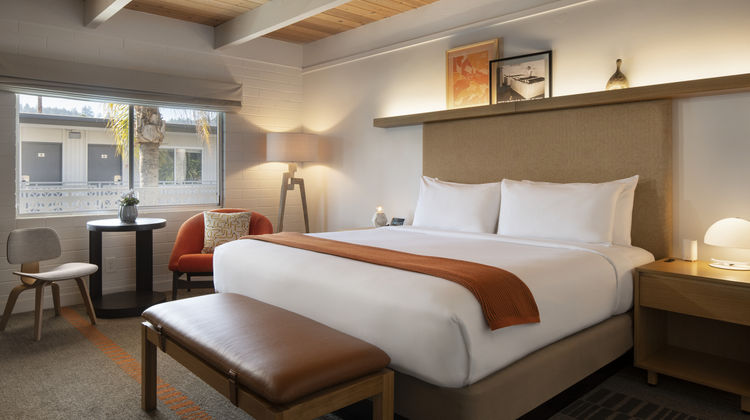 Dr Wilkinson's Backyard Resort Room