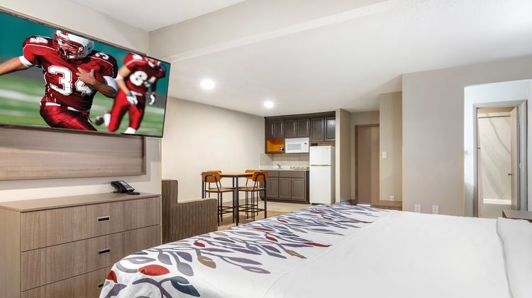 Red Roof Inn & Suites Newport News Room