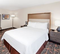 Holiday Inn Oakbrook Room