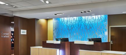 Fairfield Inn/Stes Atlanta Lithia Spring Lobby