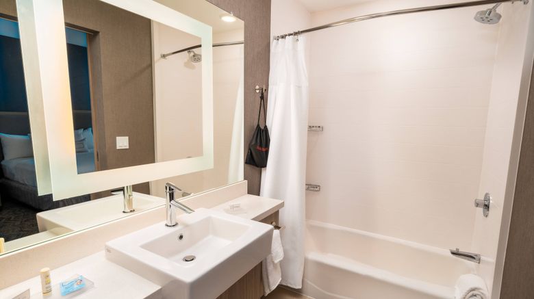 <b>SpringHill Suites Newark Fremont Room</b>. Images powered by <a href="https://www.leonardoworldwide.com/" title="Leonardo Worldwide" target="_blank">Leonardo</a>.
