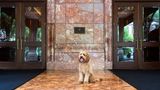 <b>The Ritz-Carlton, St Louis Exterior</b>. Images powered by <a href="https://www.leonardoworldwide.com/" title="Leonardo Worldwide" target="_blank">Leonardo</a>.