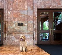 The Ritz-Carlton, St Louis Exterior