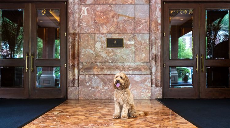 The Ritz-Carlton, St Louis Exterior