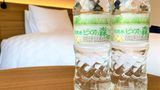 Sapporo Prince Hotel Recreation