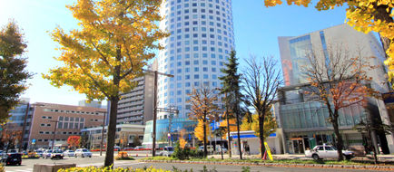 Sapporo Prince Hotel Exterior