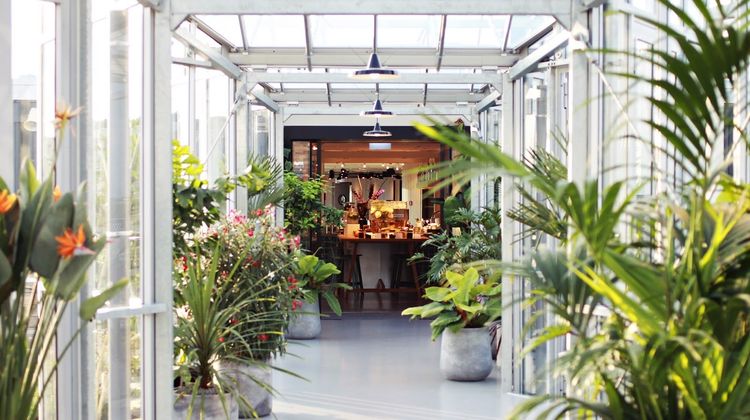 Zoku Amsterdam Lobby