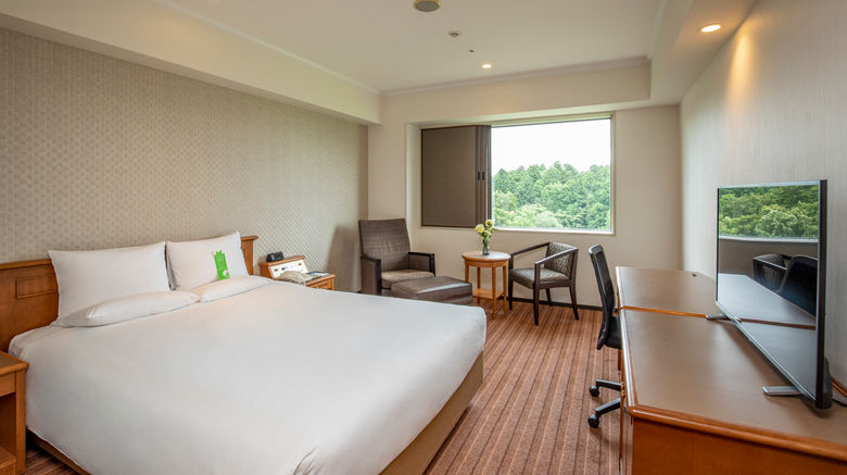 <b>International Garden Hotel Narita Room</b>. Images powered by <a href="https://www.leonardoworldwide.com/" title="Leonardo Worldwide" target="_blank">Leonardo</a>.